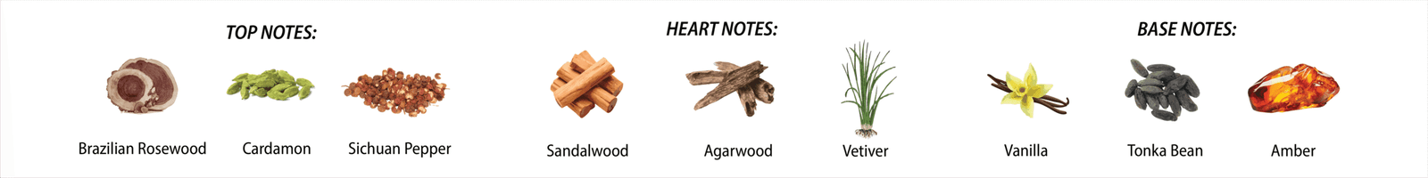 top notes - brazilian rosewood, cardamon, sichuan pepper heart notes - sandalwood, agarwood, vetiver base notes - vanilla, tonka bean, amber