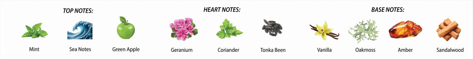 top notes - mint, sea notes, green apple heart notes - geranium, coriander, tonka been base notes - vanilla, oakmoss, amber, sandalwood