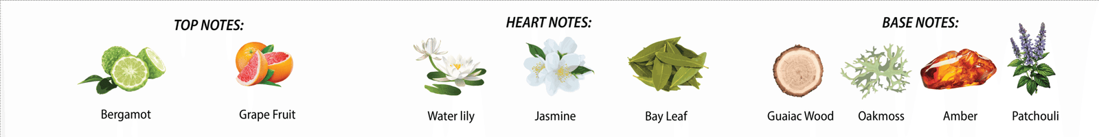 top notes - bergamot, grape fruit heart notes - water lily, jasmine, bay leaf base notes - guaiac wood, oakmoss, amber, patchouli