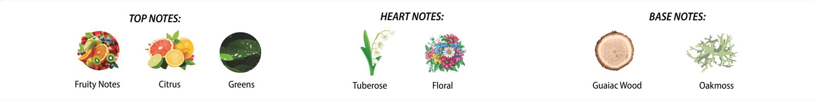 top notes - fruit notes, citrus, greens heart notes - tuberose, floral base notes - guaiac wood, oakmoss